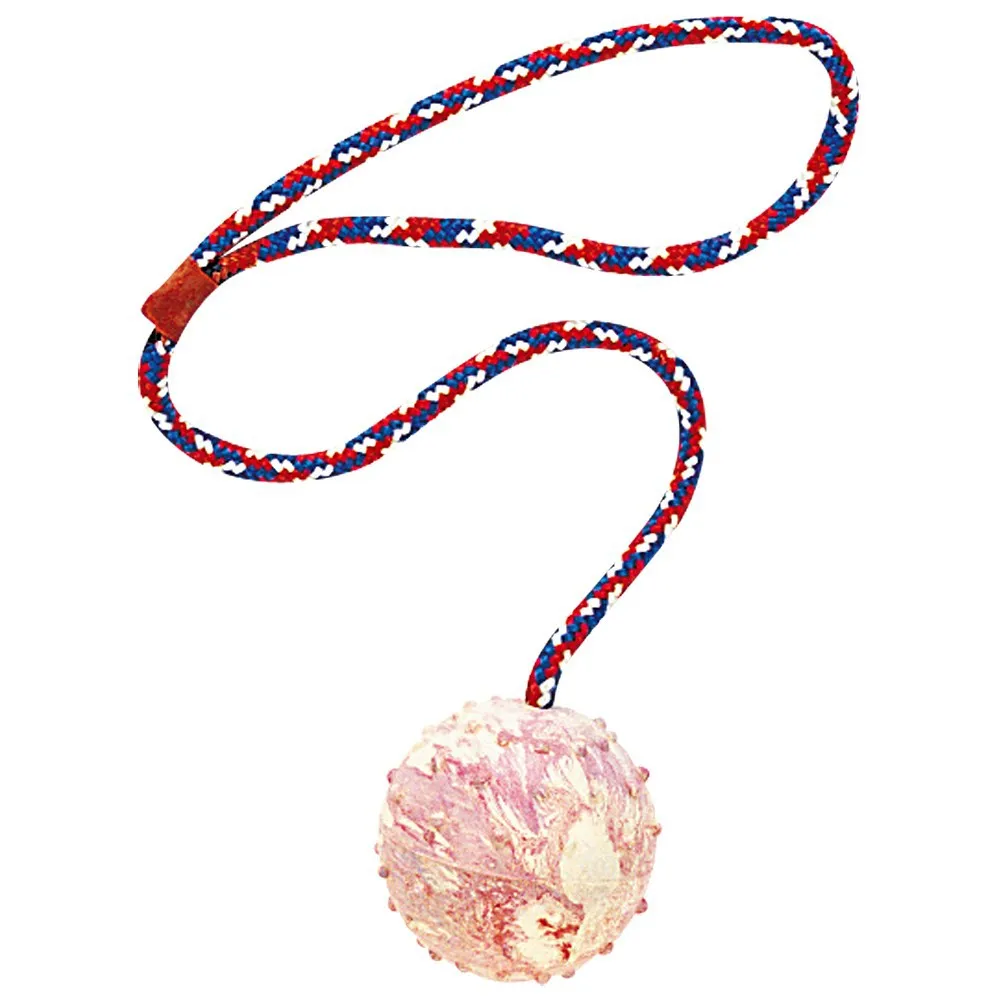 Ferplast 6532 Ball On Rope Dog Toy